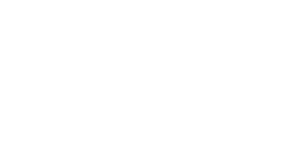 OTL Electric Karts