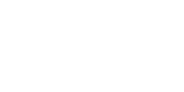 The Dirty Bird