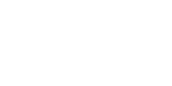Vega Tires